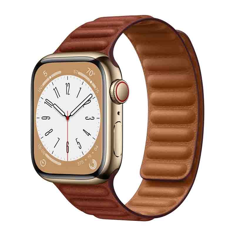 Apple Watch Series 8 Price in Tanzania